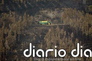 Los daños a bosques en Europa aumentarán alrededor de un 20% para el año 2100, lo que afectará su absorción de carbono