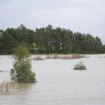 Los embalses andaluces rozan el 86% de su capacidad a pesar de la subida de las temperaturas