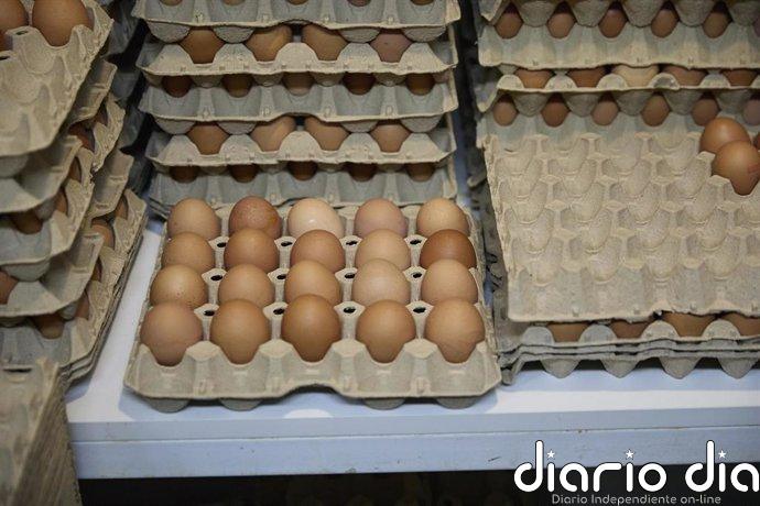 Los huevos disparan un 22% su precio en el último año, seguido por zanahorias y cebollas