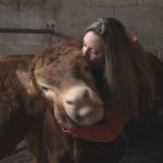 Los secretos de los ‘agroinfluencers’