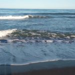 Málaga cierra al baño una parte de playa del Campo de Golf como medida preventiva por presencia de la bacteria E.coli