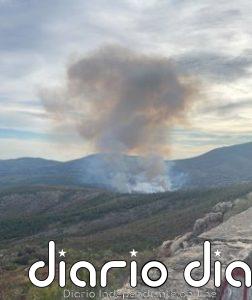 Medios aéreos y terrestres trabajan en la extinción de un incendio forestal declarado este domingo en Acebo