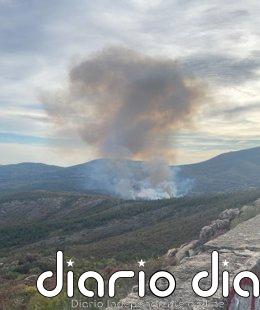 Medios aéreos y terrestres trabajan en la extinción de un incendio forestal declarado este domingo en Acebo