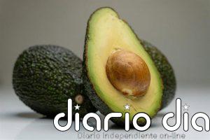 Meta atrasa el lanzamiento de su nuevo modelo de IA 'Avocado' por no cumplir las expectativas de rendimiento