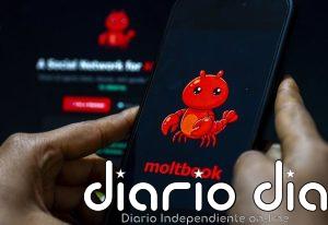 Moltbook actualiza sus condiciones para responsabilizar a los usuarios de las acciones realizadas por los agentes de IA