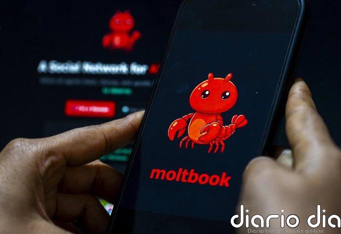 Moltbook actualiza sus condiciones para responsabilizar a los usuarios de las acciones realizadas por los agentes de IA