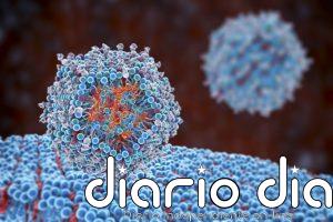 Nanopartículas que reprograman las defensas desde dentro: el experimento que apunta a una alternativa a las CAR-T