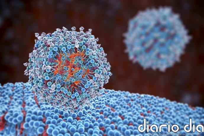 Nanopartículas que reprograman las defensas desde dentro: el experimento que apunta a una alternativa a las CAR-T