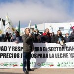 Opas piden a industrias prolongar 15 días el periodo de negociación, recoger la leche y retroactividad del precio final