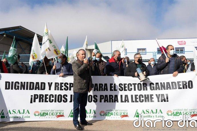 Opas piden a industrias prolongar 15 días el periodo de negociación, recoger la leche y retroactividad del precio final