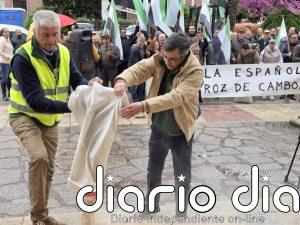 Organizaciones agrarias vierten arroz frente a Delegación del Gobierno en protesta por la "situación crítica" del sector