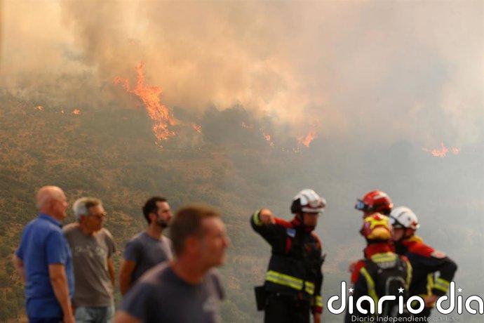 Pacma impugna la autorización para volver a cazar en áreas quemadas por los incendios de 2025 en León