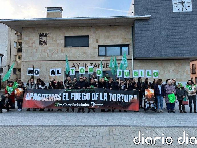 PACMA trabaja para poner "el fin definitivo" al Toro Jubilo de Medinaceli