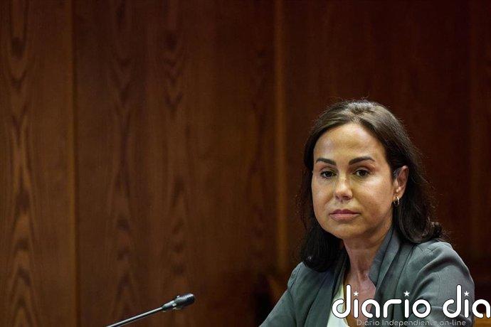 Pardo de Vera asegura que se limitó a derivar contactos en la compra de mascarillas y niega haber borrado información