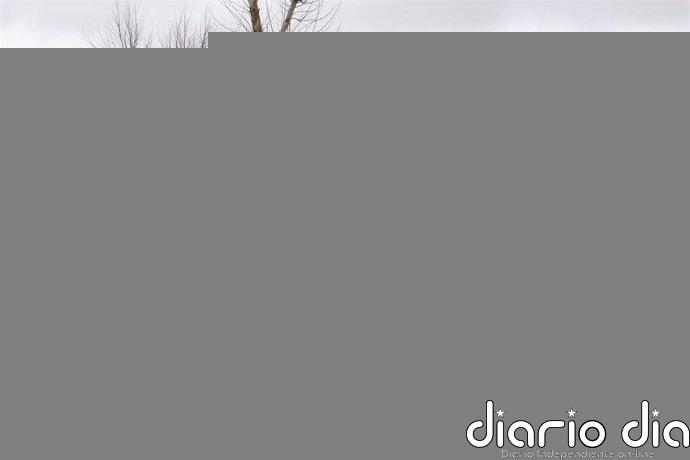 PP Jaén valora la "gestión eficaz" de la Junta tras el temporal ante otras administraciones que "dejan pasar el tiempo"