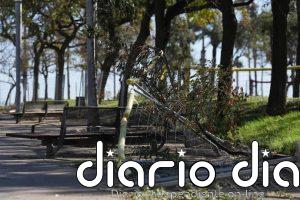 Protecció Civil pide prudencia por fuerte viento en el Pirineo y Empordà (Girona) este martes