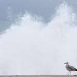 Protección Civil activa el Procicat por fuerte oleaje este domingo en el nordeste de Catalunya