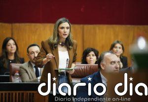 PSOE-A afea a PP-A el "veto" a una petición de comparecencia de la Junta en el Parlamento en torno a las bases militares