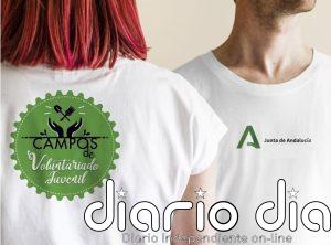 Publicada la convocatoria para participar en los Campos de Voluntariado Juvenil del Instituto Andaluz de la Juventud