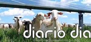 PVH alcanza 1 GW instalado en Italia