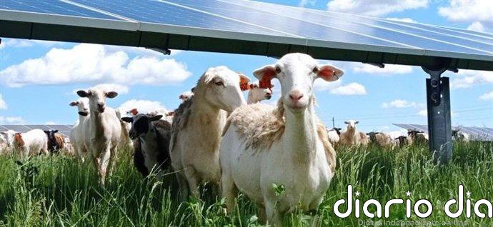 PVH alcanza 1 GW instalado en Italia