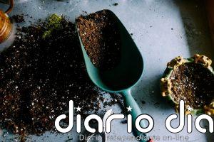 Qué significa que la tierra de tus plantas se ponga blanca: cuándo es moho y cuándo es cal