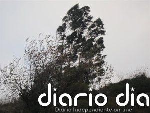 Rachas muy fuertes de viento en la mitad norte de Castellón y subida de las temperaturas máximas en el interior