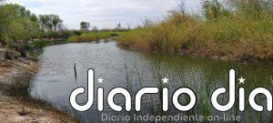 Restauración del río Colorado arroja beneficios ambientales en norte de México