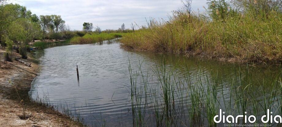 Restauración del río Colorado arroja beneficios ambientales en norte de México
