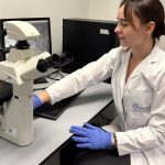 Revelan el potencial antitumoral de un compuesto natural frente al cáncer de mama triple negativo