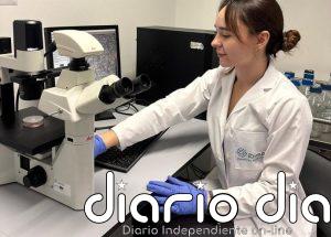 Revelan el potencial antitumoral de un compuesto natural frente al cáncer de mama triple negativo