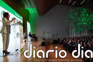 Rocío Díaz defiende que las carreteras son un elemento "estratégico" para la economía y para la "cohesión territorial"