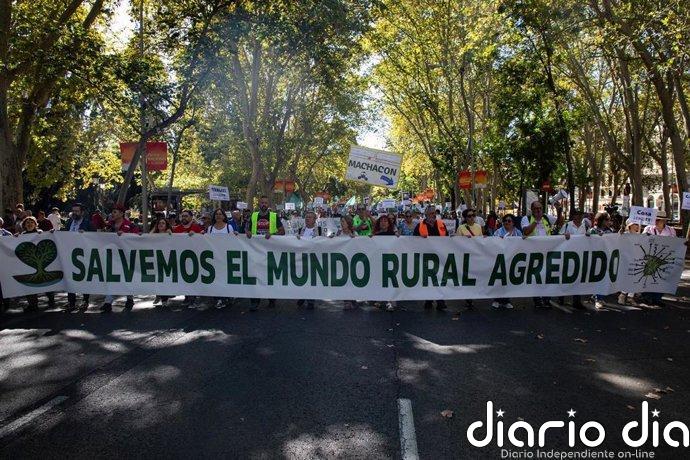 Se cumplen siete años del 'boom' de la España Vaciada: del estallido social en Madrid al retroceso electoral