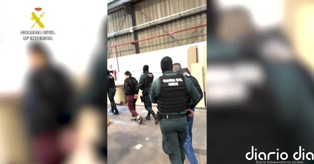 Seis detenidos y más de 10.000 plantas de marihuana intervenidas en Segovia, Toledo y Madrid