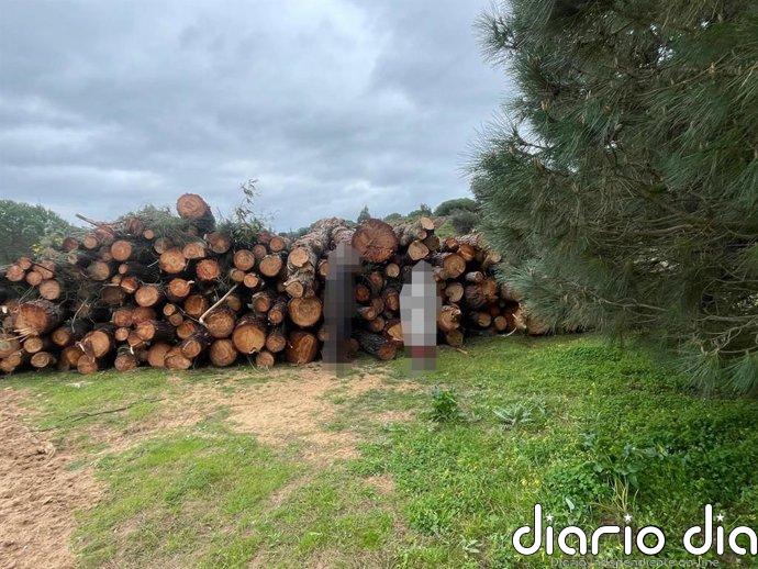 Suspenden de forma cautelar las obras del nuevo proyecto urbanístico de El Rompido (Huelva)