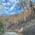 Suspendidas las quemas en 19 concejos ante el riesgo de incendios forestales