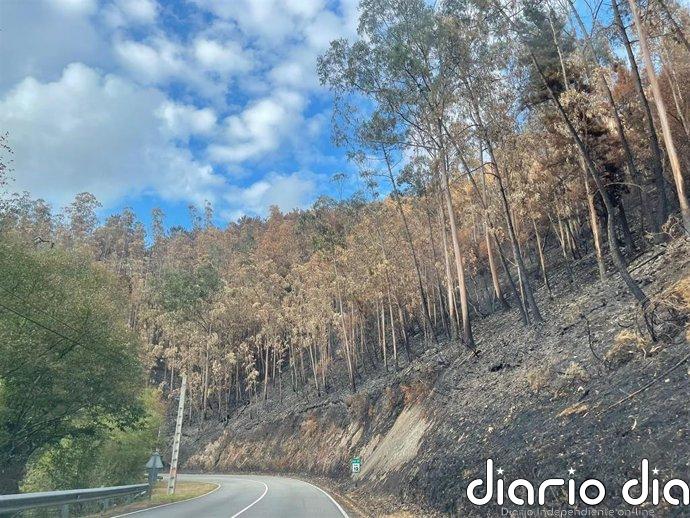 Suspendidas las quemas en 19 concejos ante el riesgo de incendios forestales