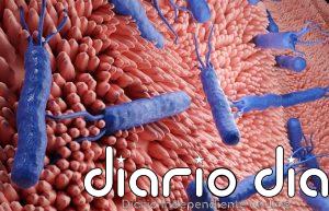 Un apósito inteligente contra las superbacterias: así es el hidrogel que libera antibióticos cuando la herida se infecta