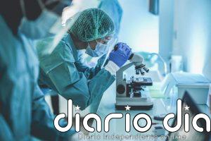 Un estudio del CNIO muestra que células inmunitarias del cerebro pueden influir en la pubertad y la fertilidad