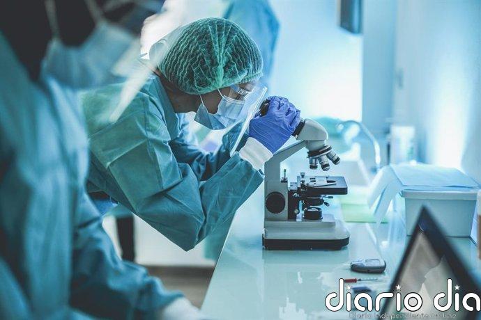 Un estudio del CNIO muestra que células inmunitarias del cerebro pueden influir en la pubertad y la fertilidad