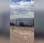 Un frente activo de 2 kilómetros y unas 400 hectáreas afectadas en el incendio, primeras estimaciones