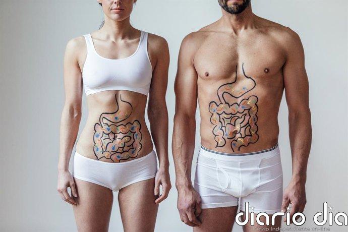 Una dieta rica en grasas permite que bacterias del intestino lleguen al cerebro... al menos en ratones