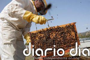 Unión de Uniones reclama el acceso al gasóleo agrícola bonificado para la apicultura