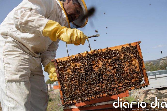 Unión de Uniones reclama el acceso al gasóleo agrícola bonificado para la apicultura