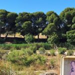 Varias asociaciones insisten en rechazar la construcción de un puente en Valdefierro sobre el Canal Imperial