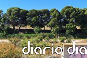 Varias asociaciones insisten en rechazar la construcción de un puente en Valdefierro sobre el Canal Imperial