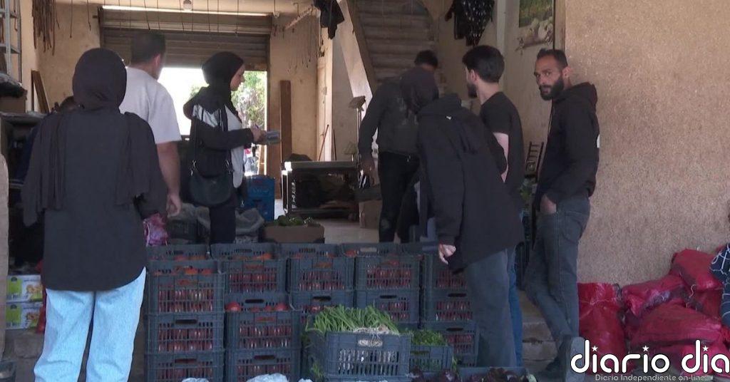 Voluntarios reparten bolsas de comida entre los desplazados por la guerra en la ciudad libanesa de Tiro