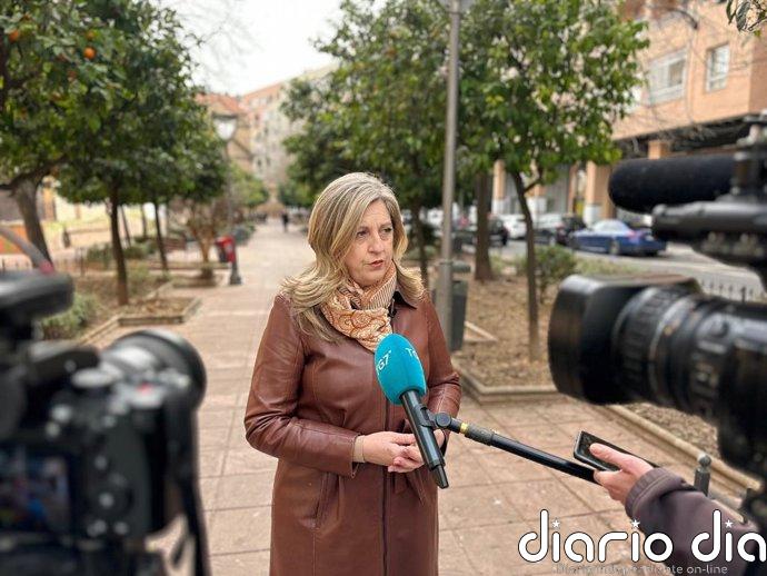 Vox pide al PP hacer balance del nuevo contrato de limpieza de Granada: "La suciedad persiste"