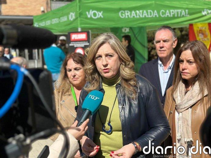 Vox reclama al gobierno local del PP que baje los impuestos sobre las viviendas de los granadinos