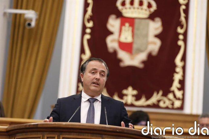 Vox y PP afean el plan contra la sobrepoblación de conejos y PSOE ensalza su carácter pionero a nivel nacional